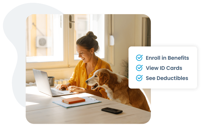 SISCO-Insured-Admin-Webpage-Technology